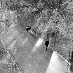 Winter Shadows Buttes Chaumont
